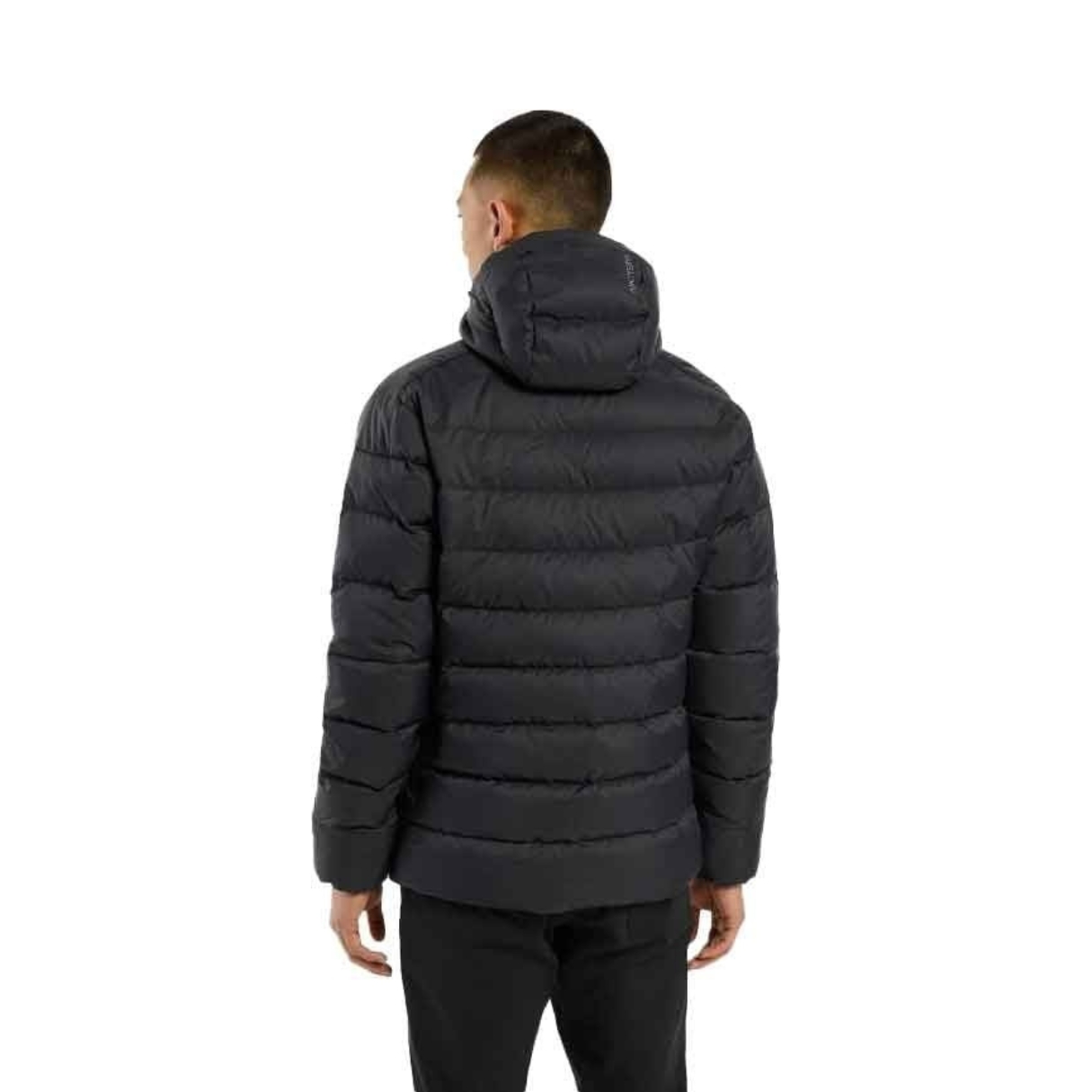 Arcteryx Mens Thorium Hoody