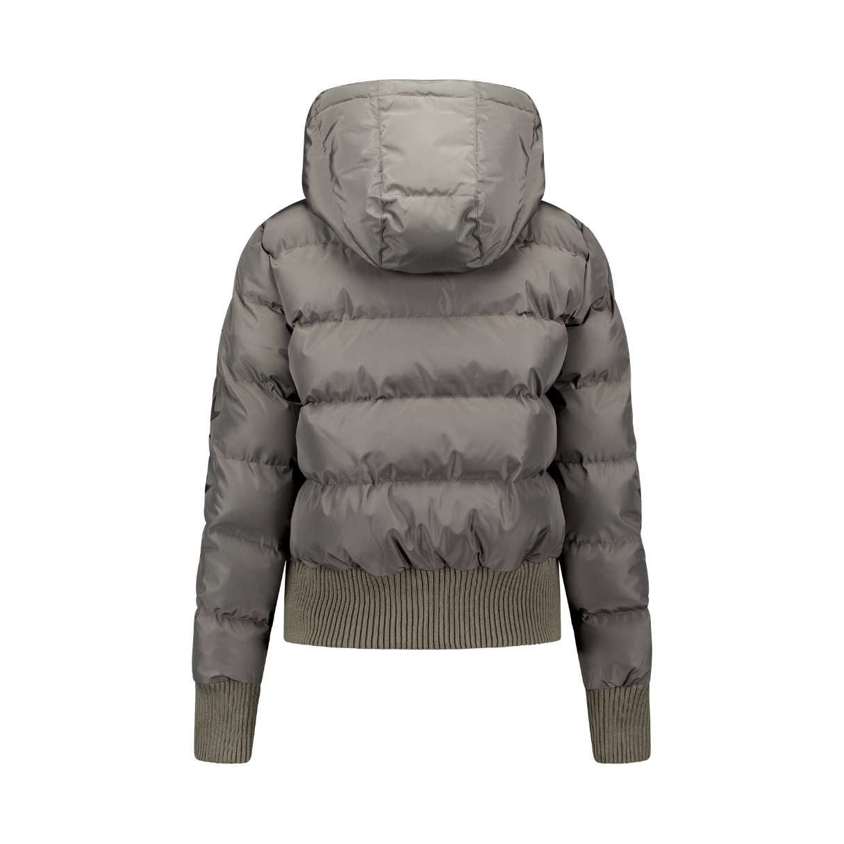 Airforce Womens Taos Jacket Star