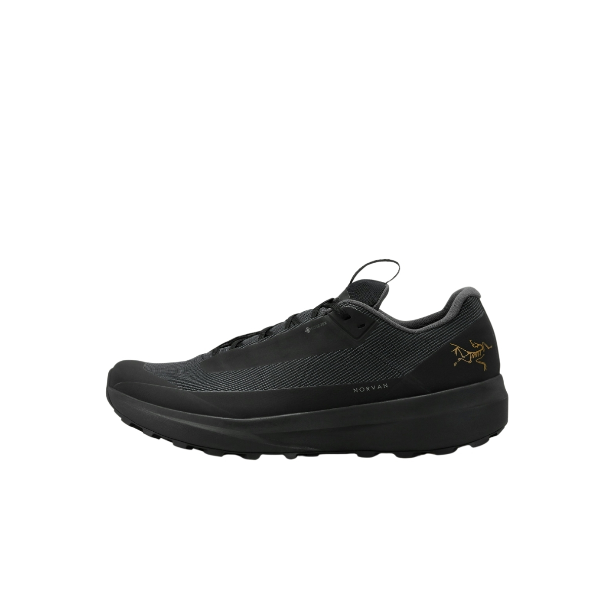 Arcteryx Mens Norvan Ld 4 Gtxen