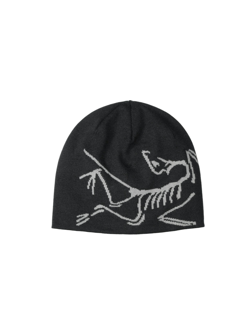 Arcteryx Lightweight Bird Head Toque