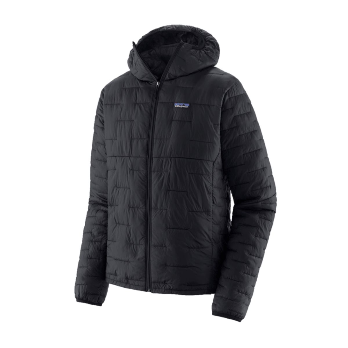 Patagonia Mens Micro Puff Hoody