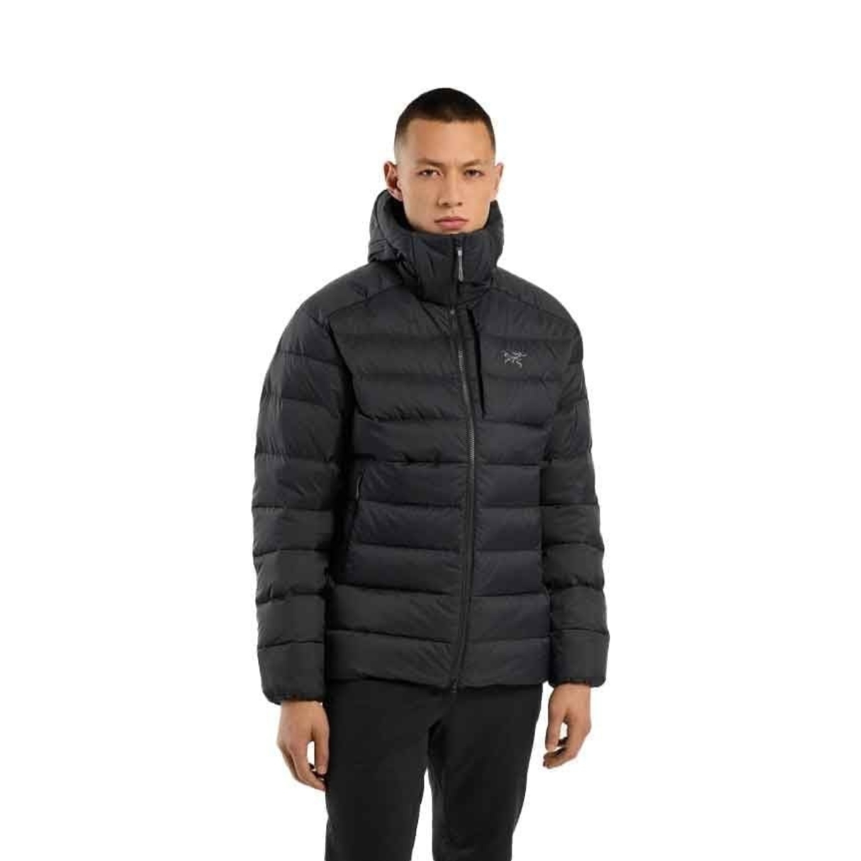 Arcteryx Mens Thorium Hoody
