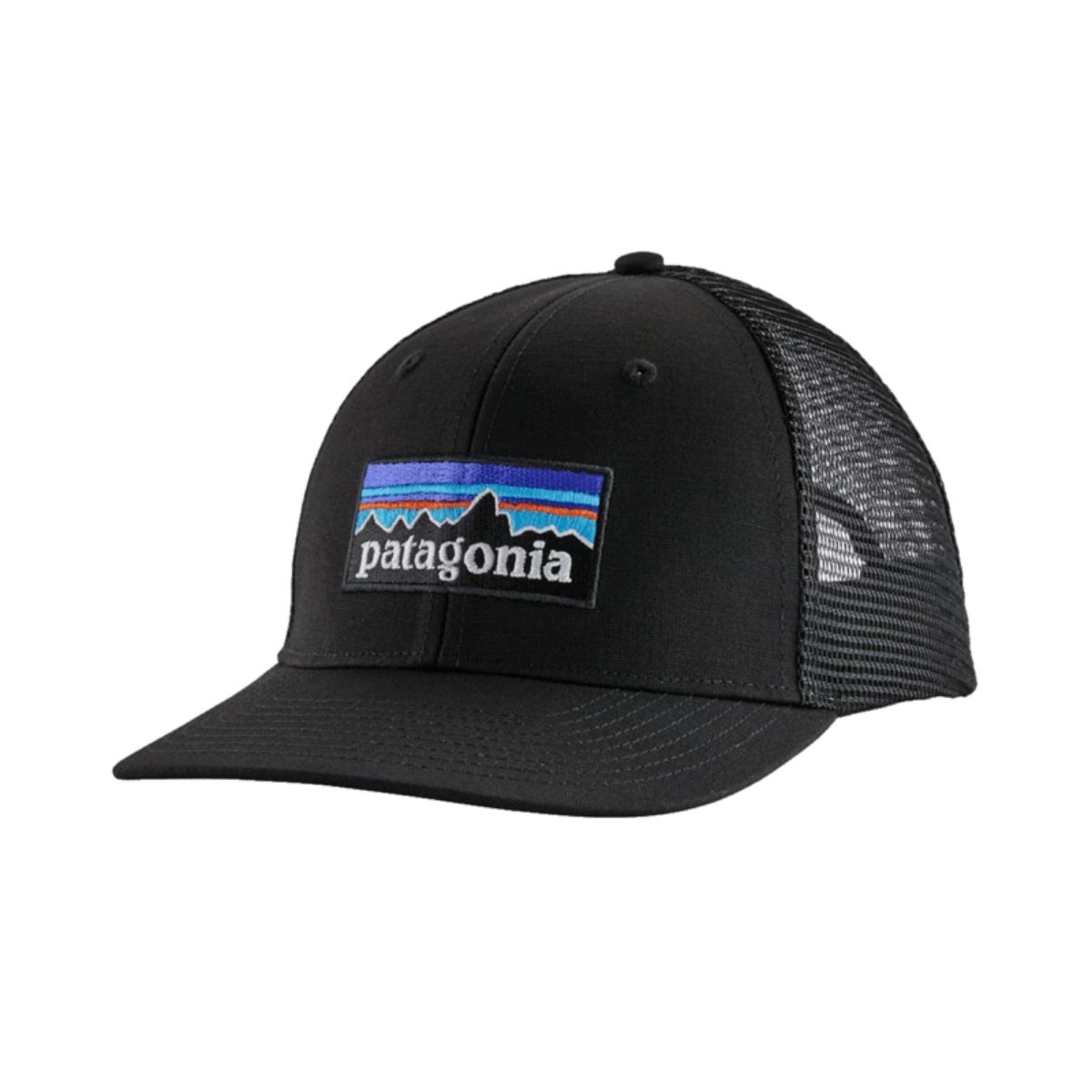 Patagonia P_6 Logo Trucker Hat