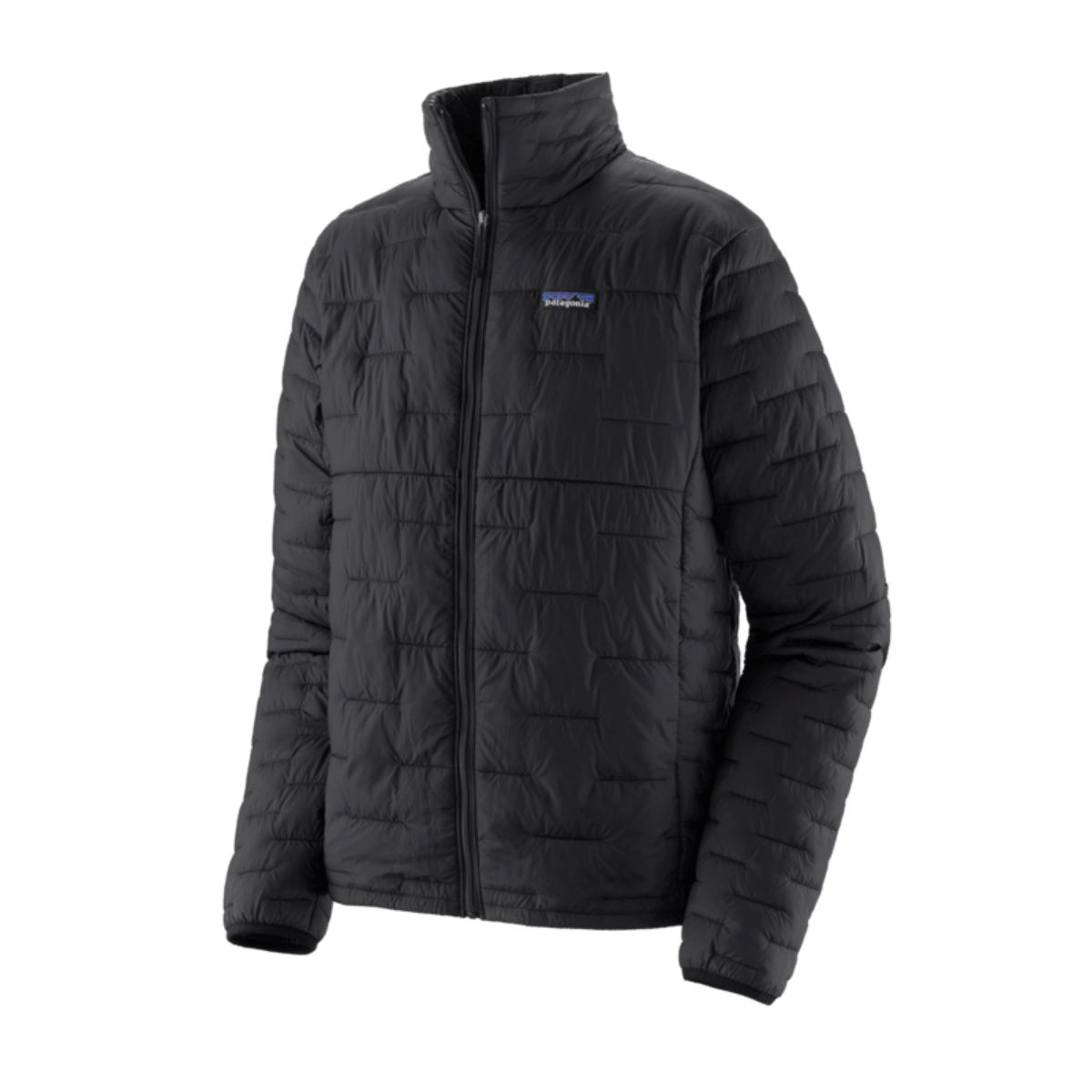 Patagonia Mens Micro Puff Jacket